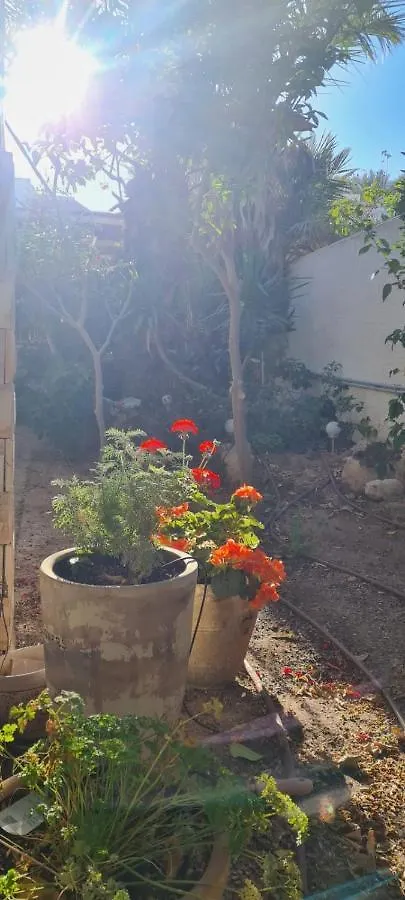 엘라트 3 חדרים קרקע באפרסק 아파트 이스라엘